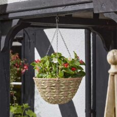 5050642098847 1 Woodland Basket.jpg